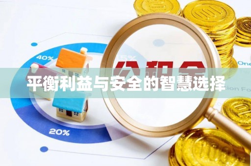 小榄平衡利益与安全的智慧选择