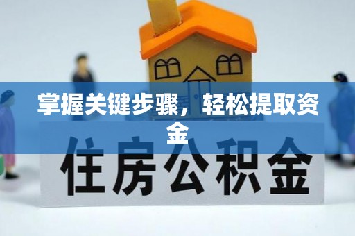 小榄掌握关键步骤，轻松提取资金