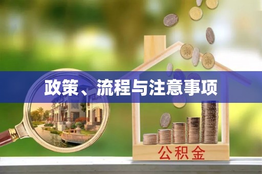 小榄政策、流程与注意事项