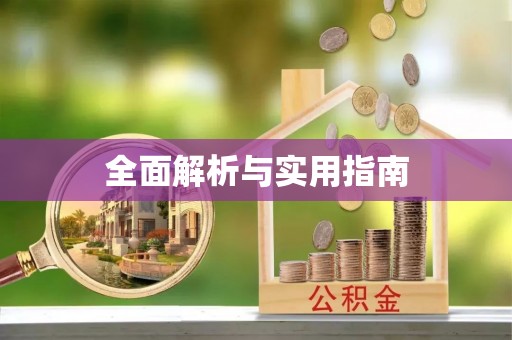 小榄全面解析与实用指南