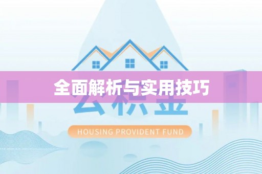 小榄全面解析与实用技巧