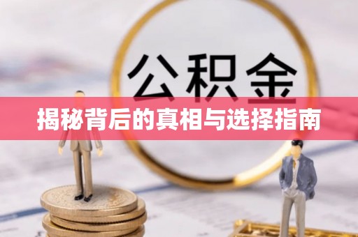 小榄揭秘背后的真相与选择指南
