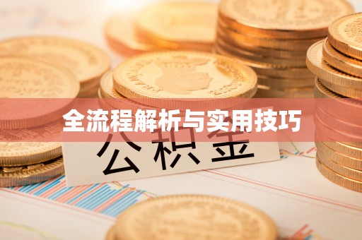 小榄全流程解析与实用技巧