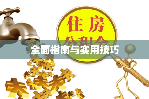 小榄全面指南与实用技巧