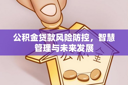 小榄公积金贷款风险防控，智慧管理与未来发展