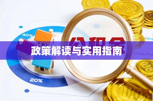 小榄政策解读与实用指南