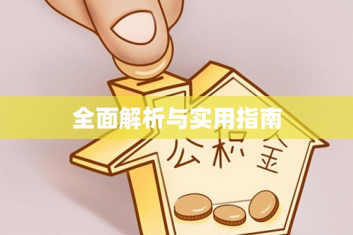 小榄全面解析与实用指南