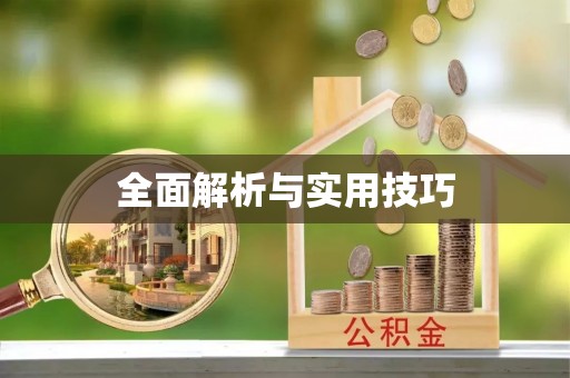 小榄全面解析与实用技巧
