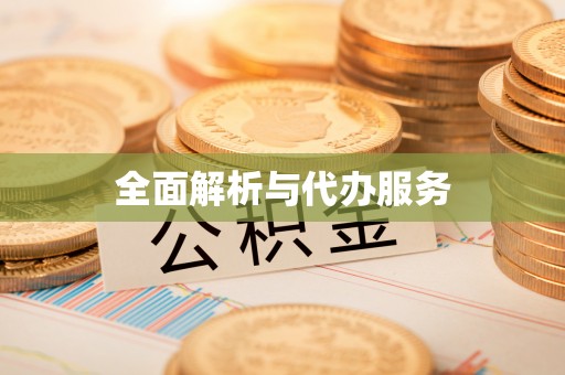 小榄全面解析与代办服务