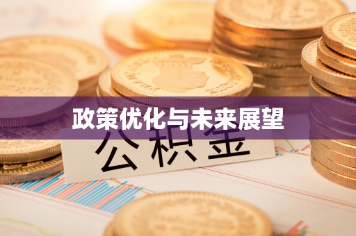 小榄政策优化与未来展望