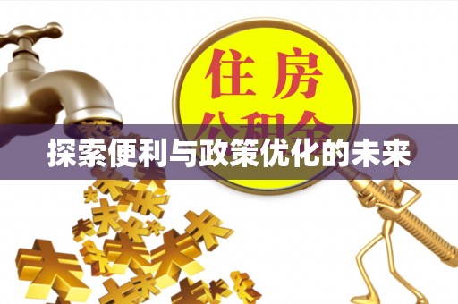 小榄探索便利与政策优化的未来