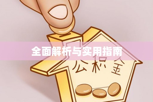 小榄全面解析与实用指南