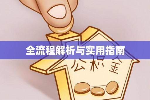 小榄全流程解析与实用指南