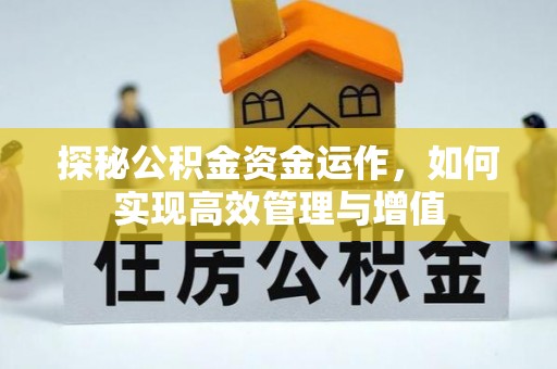 小榄探秘公积金资金运作，如何实现高效管理与增值