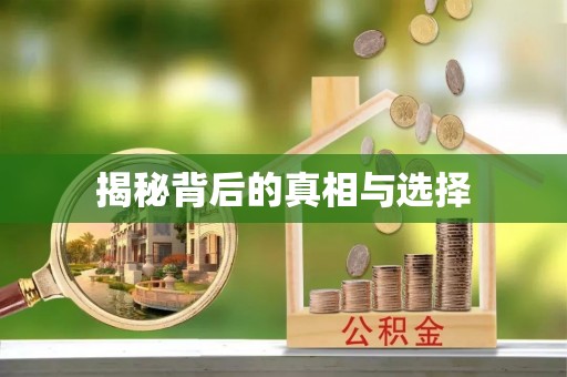 小榄揭秘背后的真相与选择