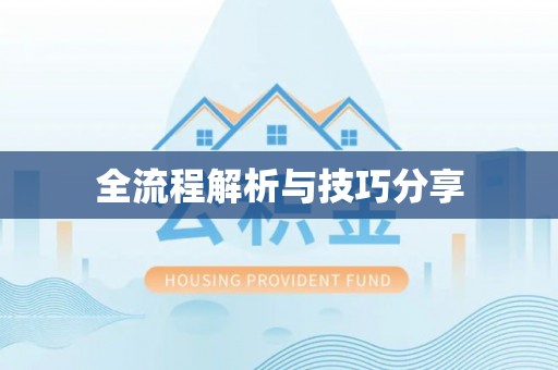 小榄全流程解析与技巧分享