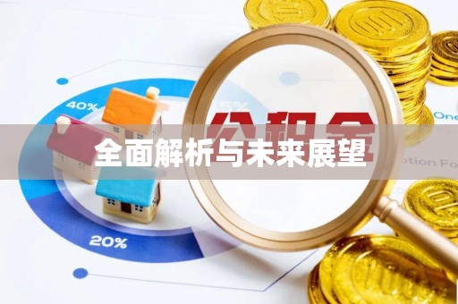 小榄全面解析与未来展望