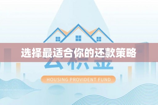小榄选择最适合你的还款策略