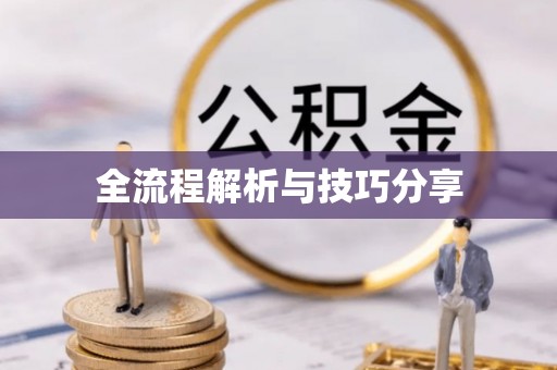 小榄全流程解析与技巧分享