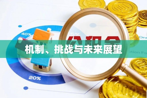 小榄机制、挑战与未来展望