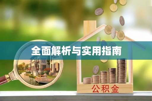 小榄全面解析与实用指南