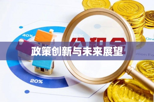 小榄政策创新与未来展望