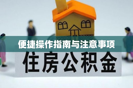 小榄便捷操作指南与注意事项