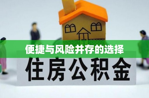 小榄便捷与风险并存的选择