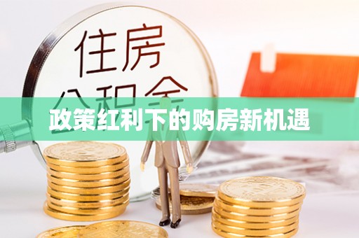 小榄政策红利下的购房新机遇