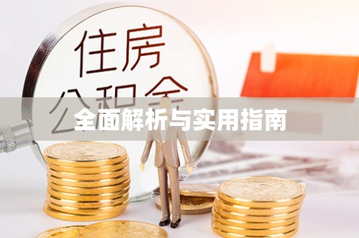 小榄全面解析与实用指南
