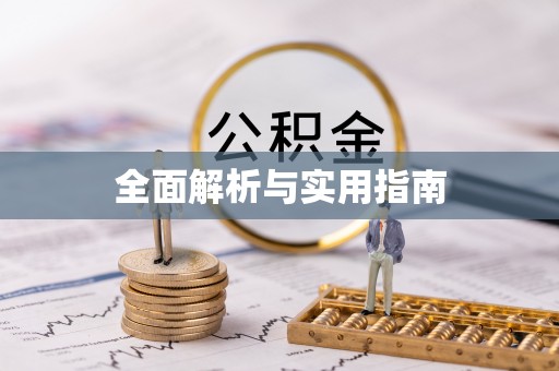 小榄全面解析与实用指南