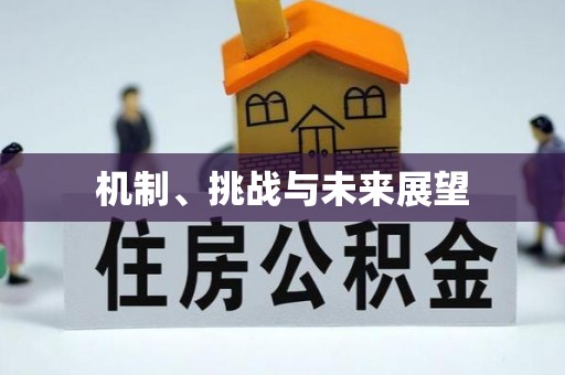 小榄机制、挑战与未来展望